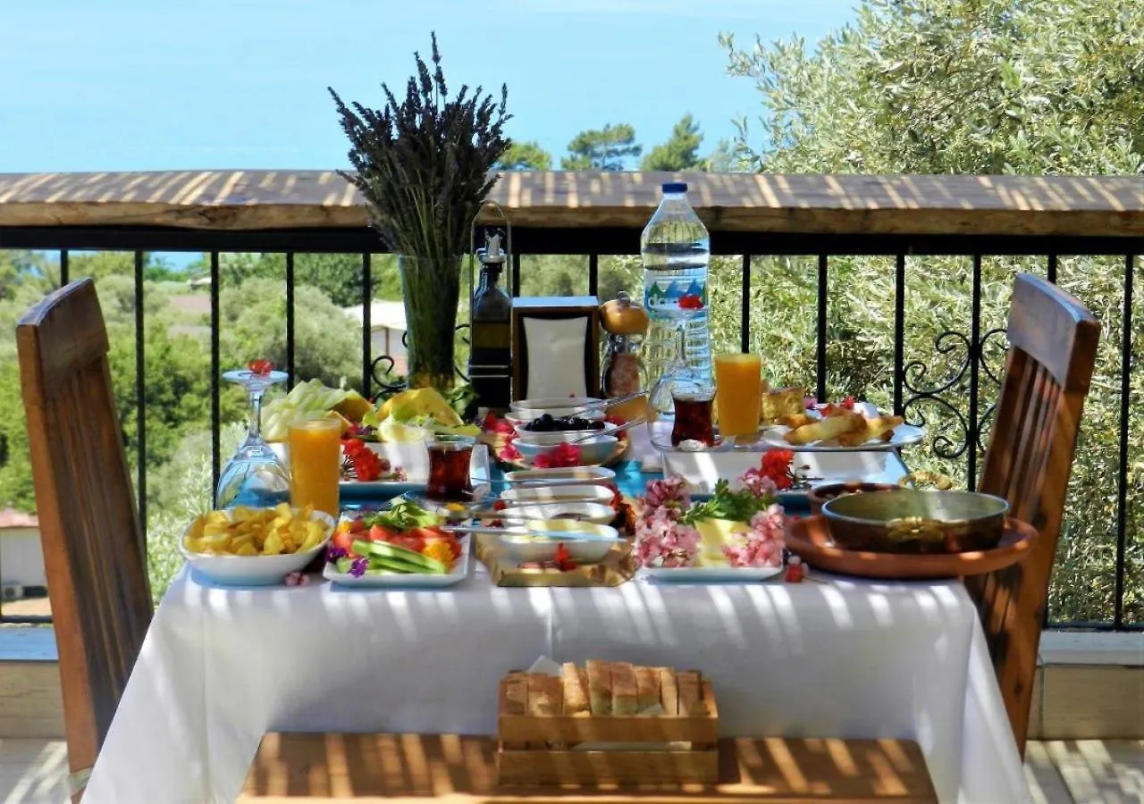 Kabak Misafir Evi Μοτέλ Faralya